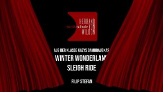 winter wonderland sleigh ride